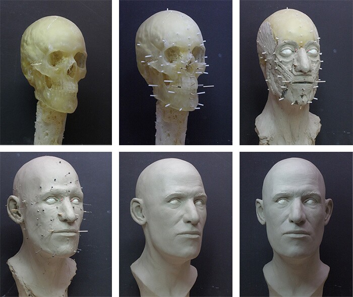 The facial reconstruction process layers clay muscle, tissue, and skin over the skull using expert knowledge of anatomy