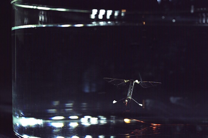 RoboBee is the first-ever aerial and aquatic capable insect-scale robot