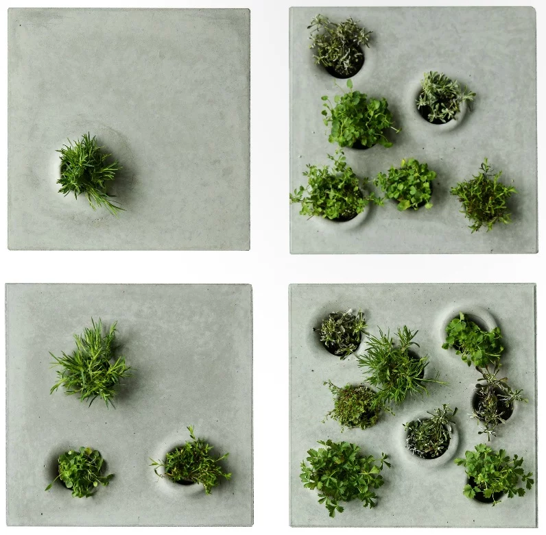 Grey to Green features several different designs which change the amount of vegetation allowed back into our cities