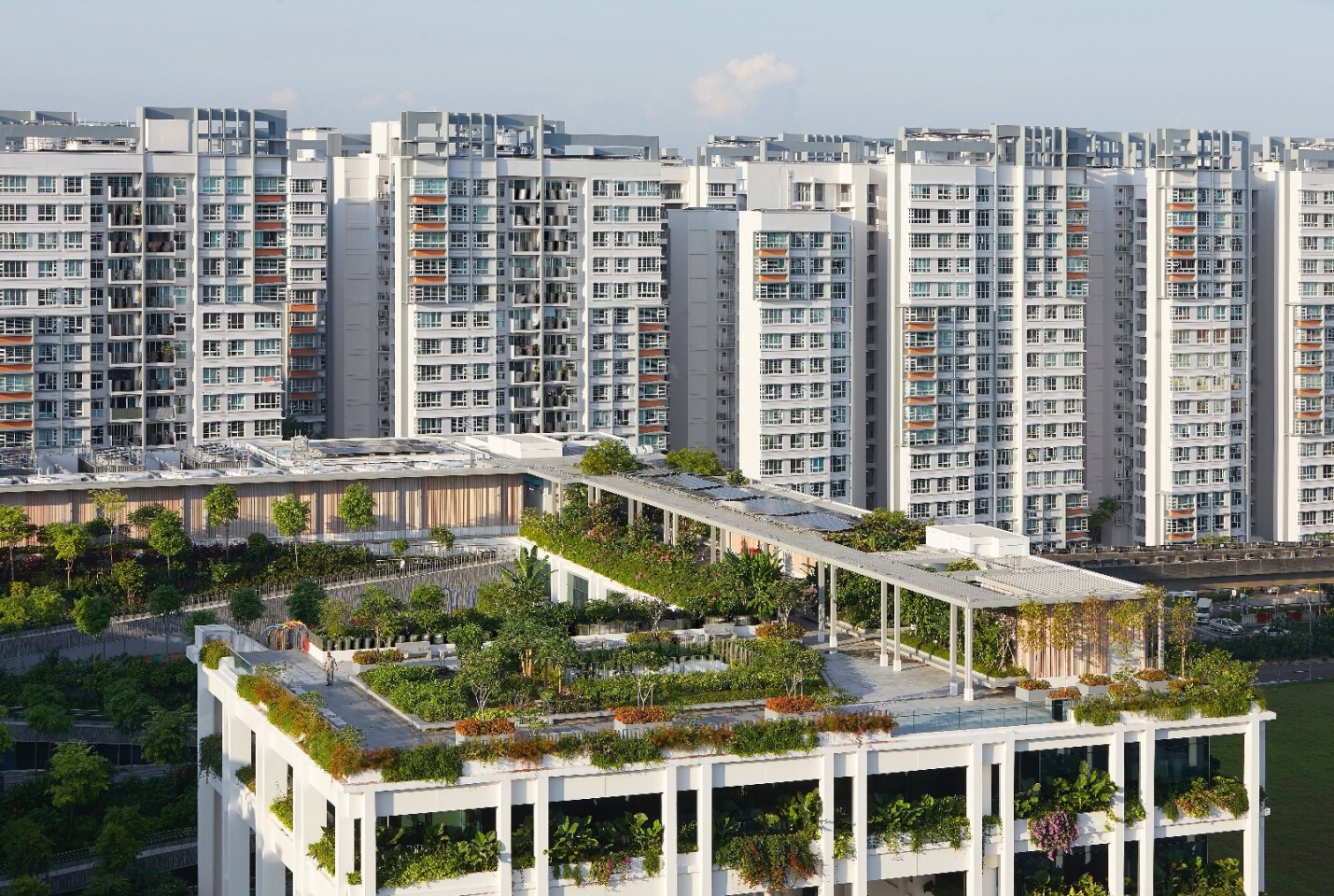WOHA's Oasis Terraces in Singapore is topped by a heavily-landscaped roof that features planting beds for urban farming