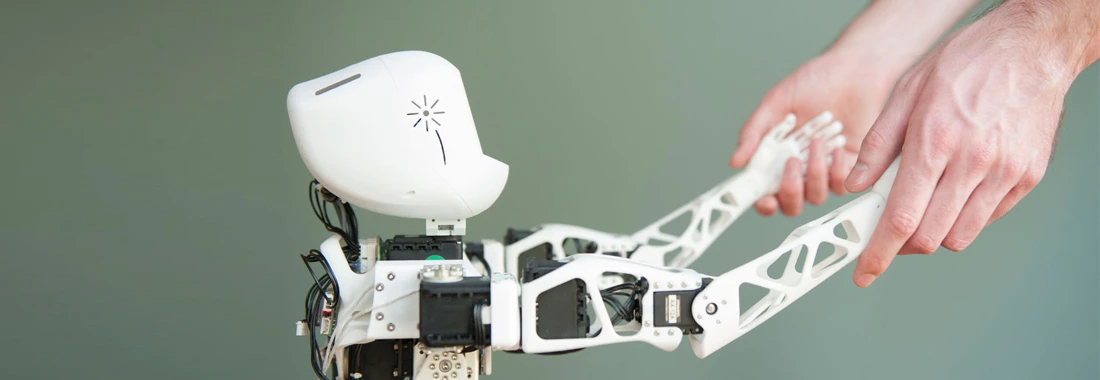 Poppy's articulated spine gives it added flexibility when physically interacting with people (Photo: Inria / H. Raguet)