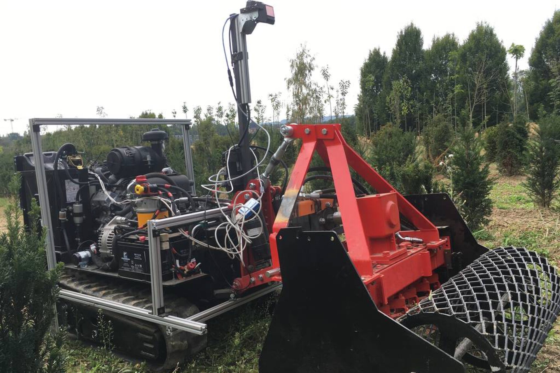 AMUBot robot kills weeds as it makes its way through crops