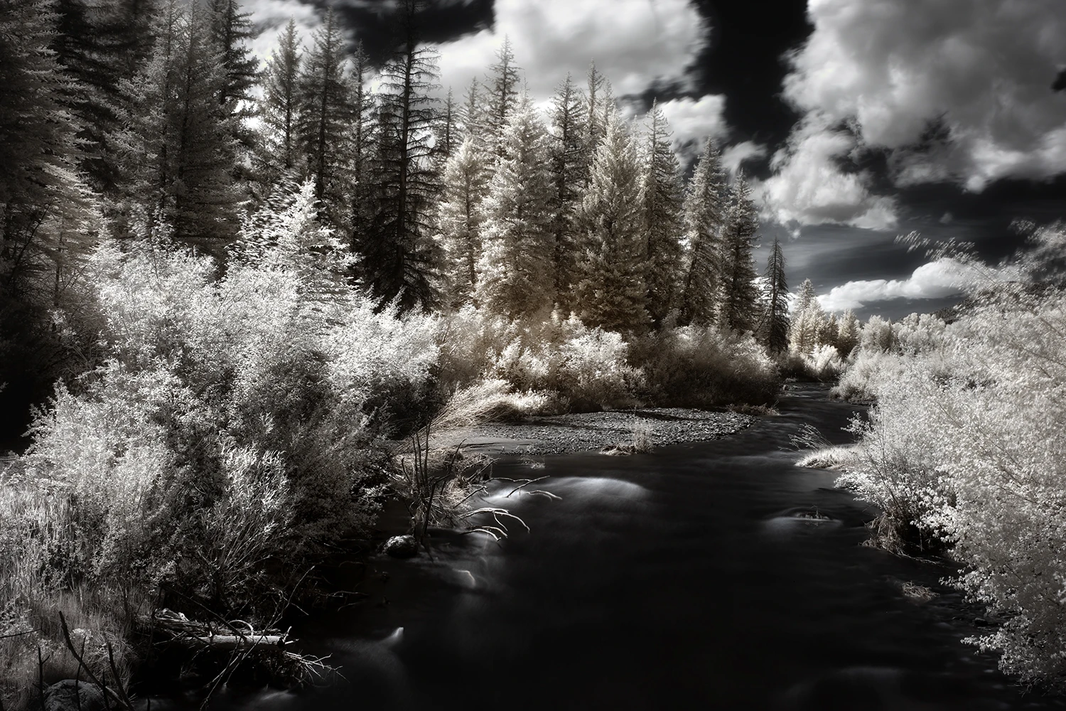 Greg Westfall’s infrared photography, using a converted Canon EOS-1D Mark II, captures a 720 nm wavelength, whiting out all the greenery (Credit: Greg Westfall Flickr / CC BY 2.0)