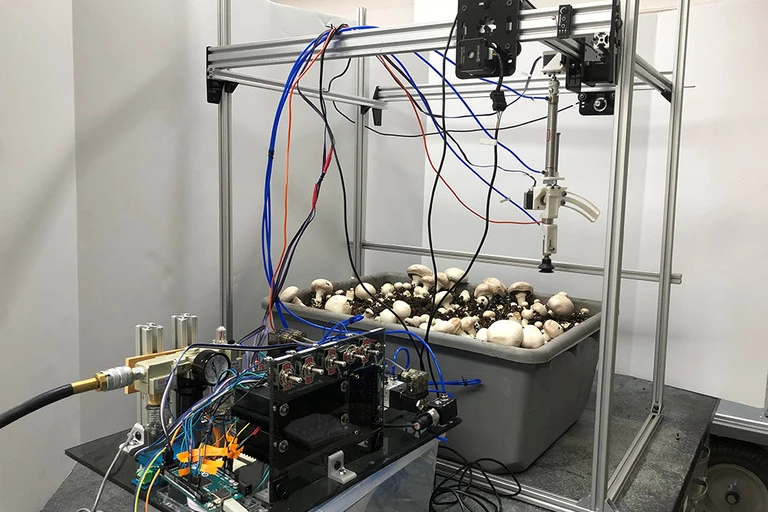The system is designed for use on button mushrooms grown on shelf systems