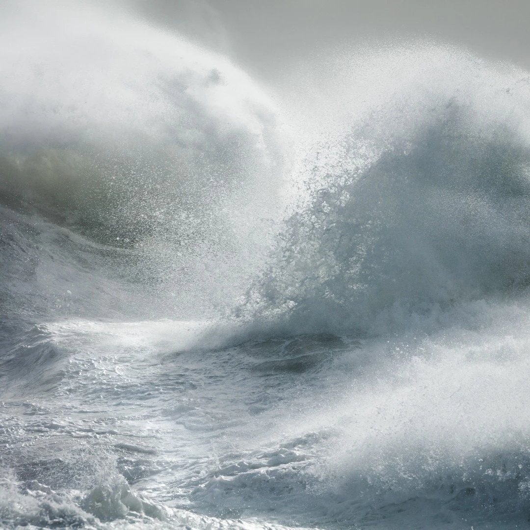 Evolution I is from a series entitled Ocean