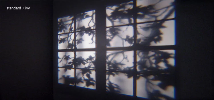 A window frame and stirring branches projected by Adam Frank's REVEAL