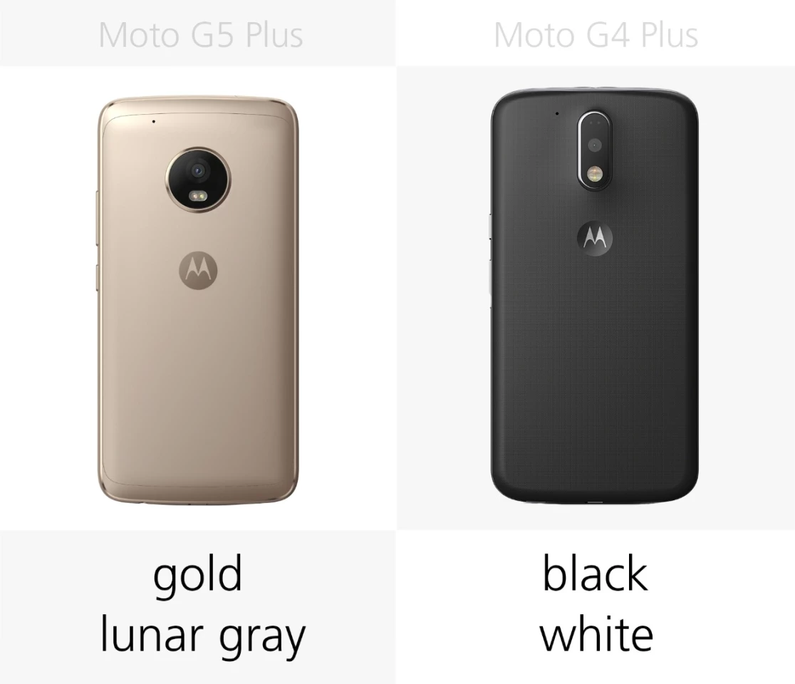 Color options