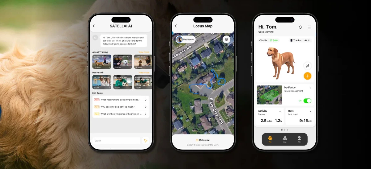 The tracker will beam your dog's location, as well as health and activity markers, to a companion phone app
