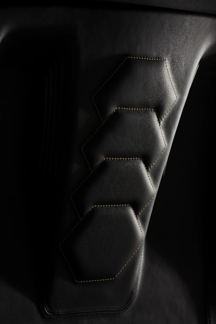 "Scaly" seat back