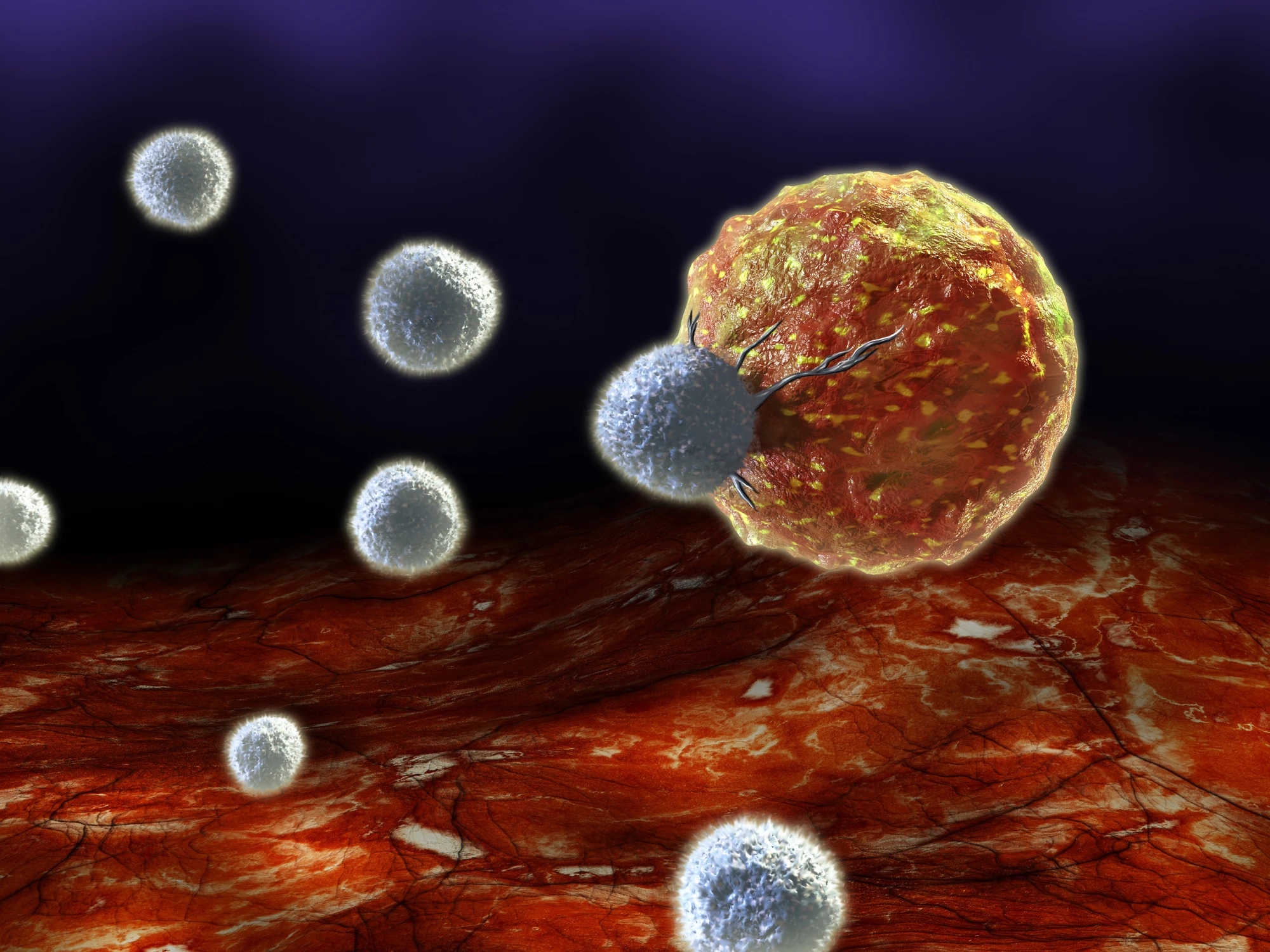 Researchers in Japan have developed a way to rejuvenate immune cells using stem cells, to improve cancer immunotherapy outcomes