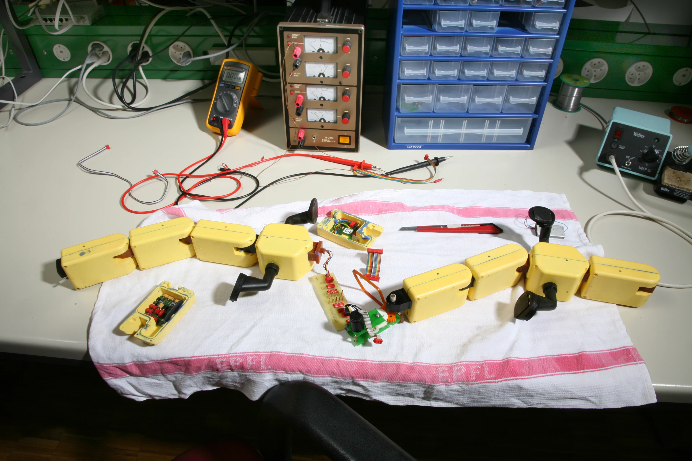 Walking is simply handled by rotating the limbs, but reproducing the wave-like swimming motions requires a system of coupled nonlinear oscillators (Photo Credit: A. Herzog, Biorobotics Laboratory, EPFL)