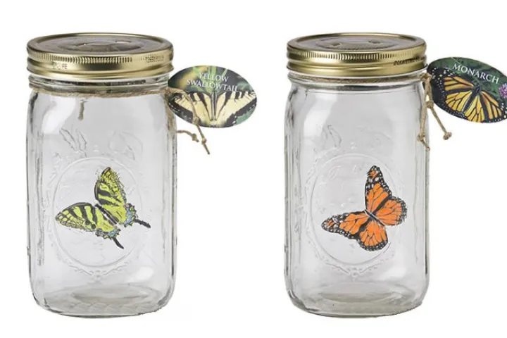 The Swallowtail and Monarch versions of My Butterfly