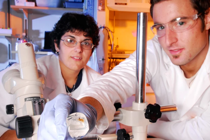 Georgia Tech research technician Kellie Templeman (left) and former graduate student Tim Petrie display a piece of titanium coated with the bio-inspired polymer (Image: Gary Meek)