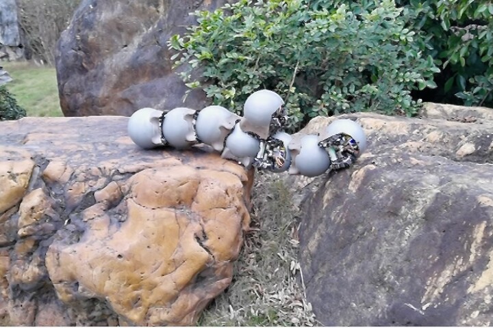 A swarm of the robo-snails work with one another to traverse a gap