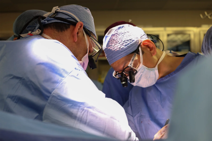 Surgeons Nahel Elias (left) and Tatsuo Kawai (right) performing the landmark transplantation surgery of a pig kidney into a human patient