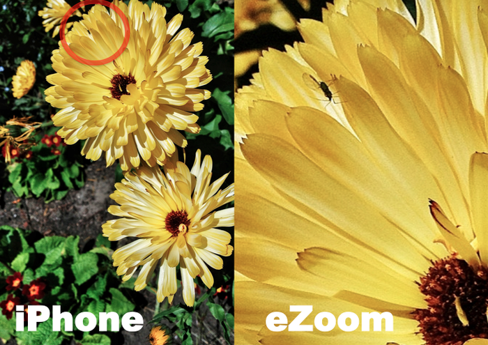 Using the eZoom application to get a close up