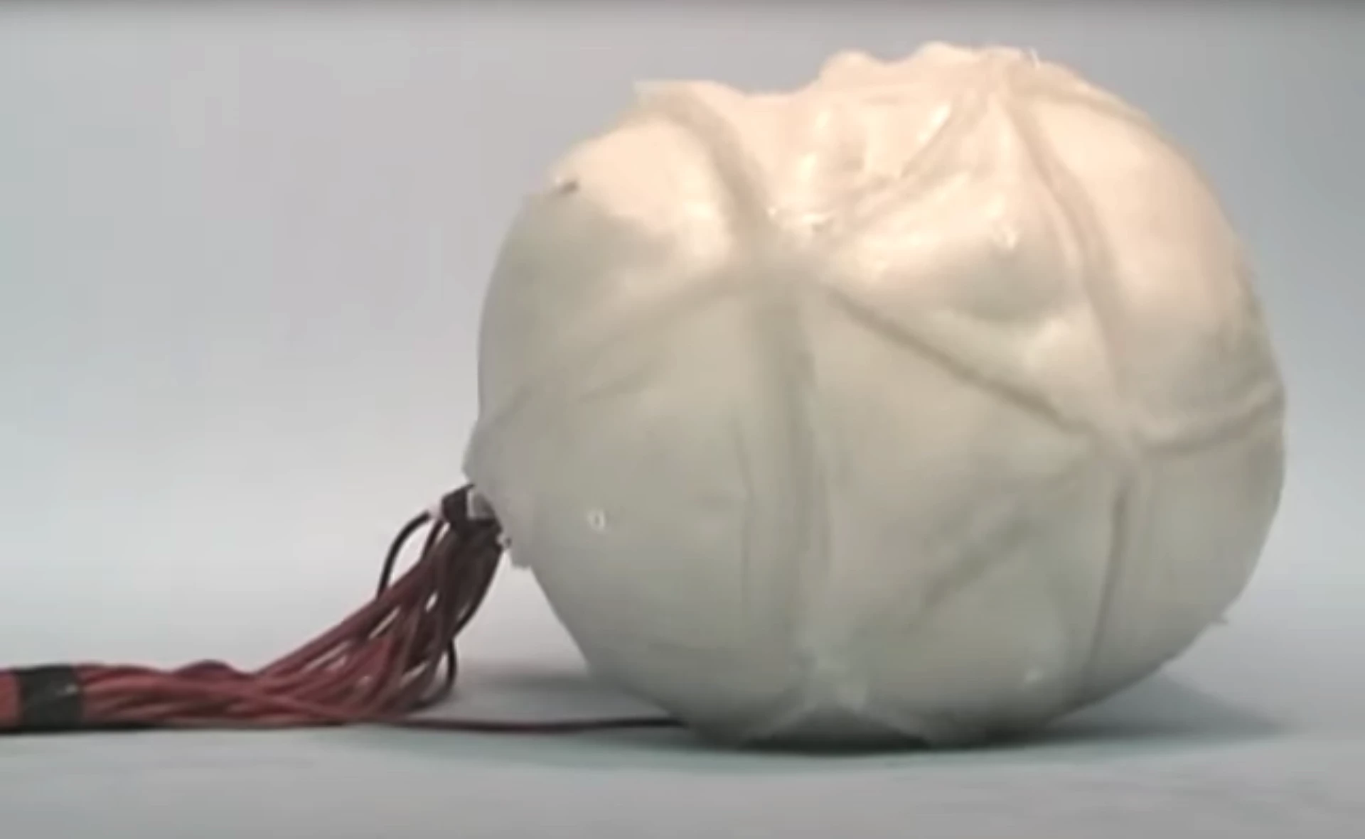 Chembot lives