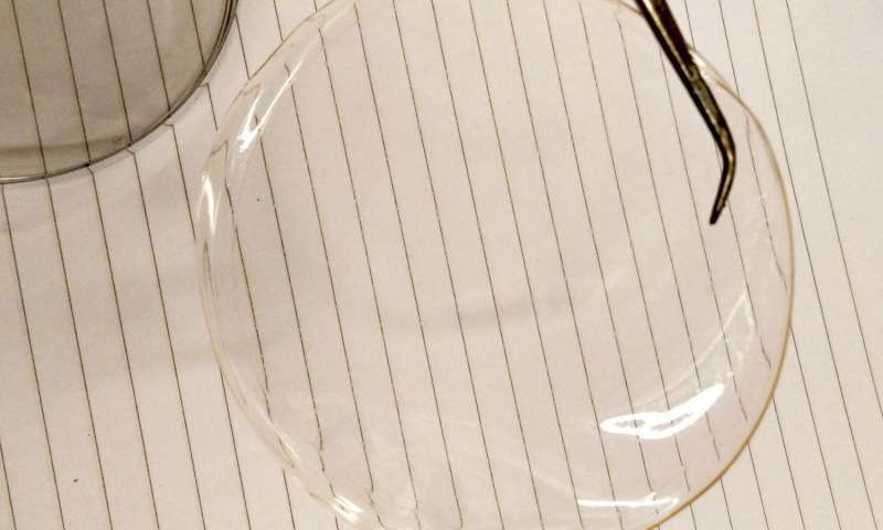 Chitosan film made from lab-grade chitosan