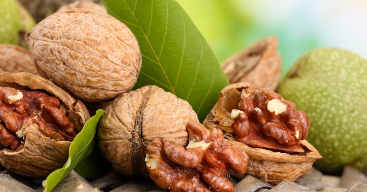 Eating walnuts may reduce heart disease risk, by lowering blood pressure