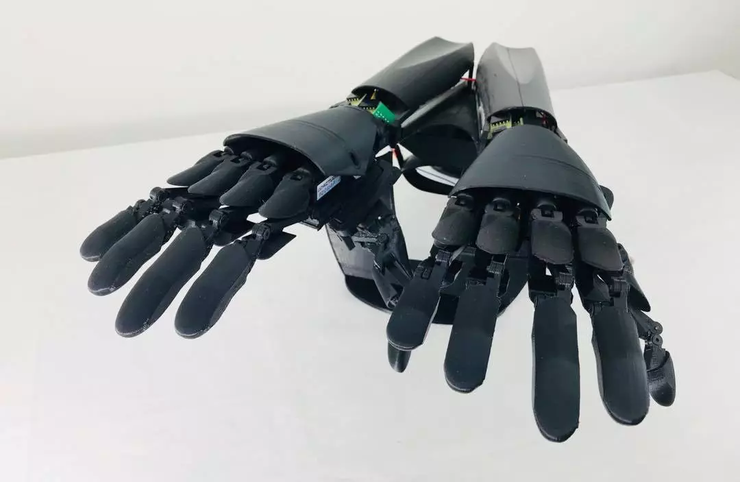 The Double Hand has been created to "turn the Native Human to Augmented Human"