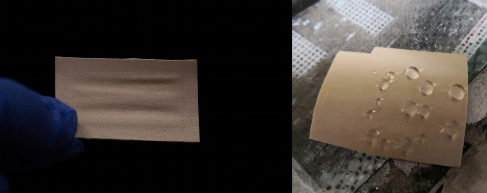 The wooden water filtering membrane prepared by University of Maryland, Princeton University, and the University of Colorado Boulder
