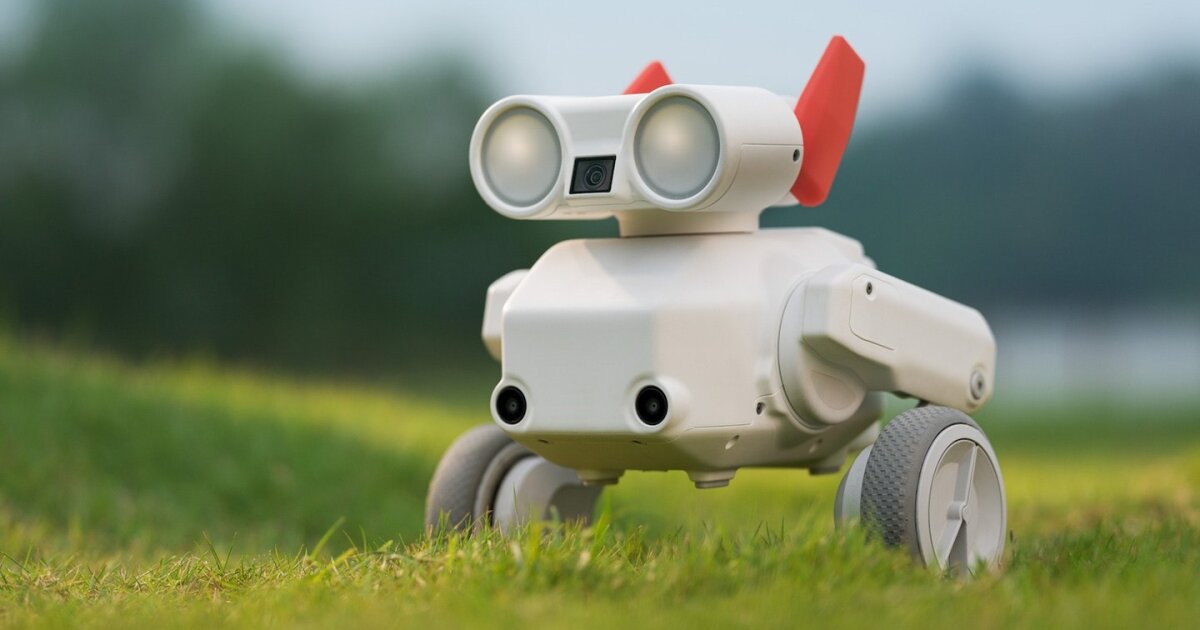 Mondo adorable robot is basically an action cam with leaping legs