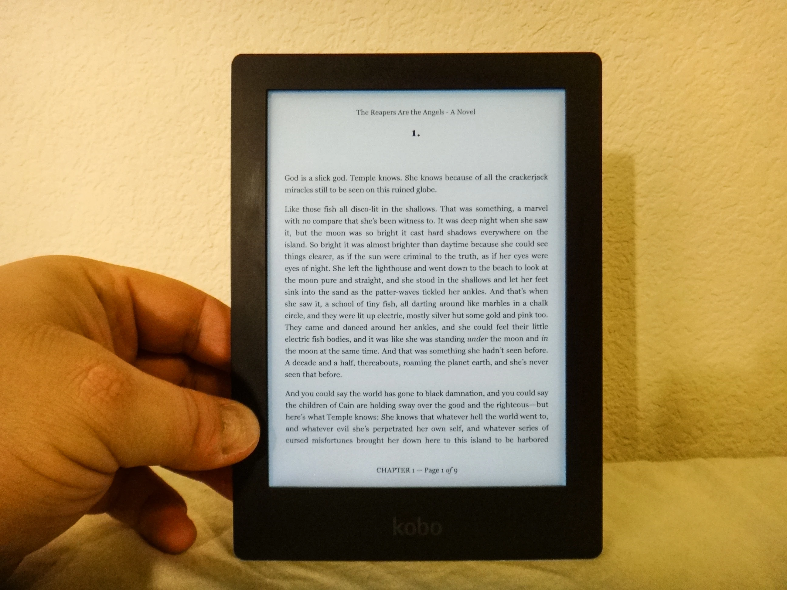 A small button on top of the e-reader activates the backlight, which definitely comes in handy for low-light situations