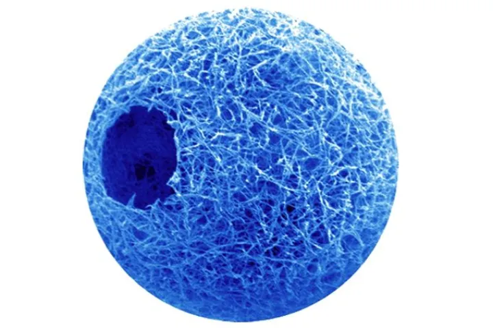 Biodegradable nanofiber microspheres show promise as a means of transporting cells to cartilage wound sites, where they can form new tissue and speed healing (Image: Peter Ma)