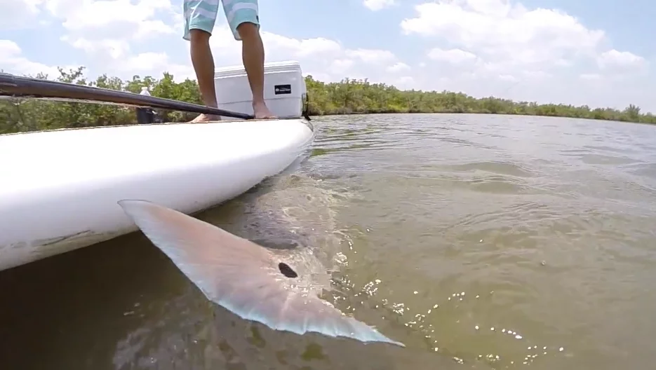 Lopez reals in his catch from atop the Pau Hana