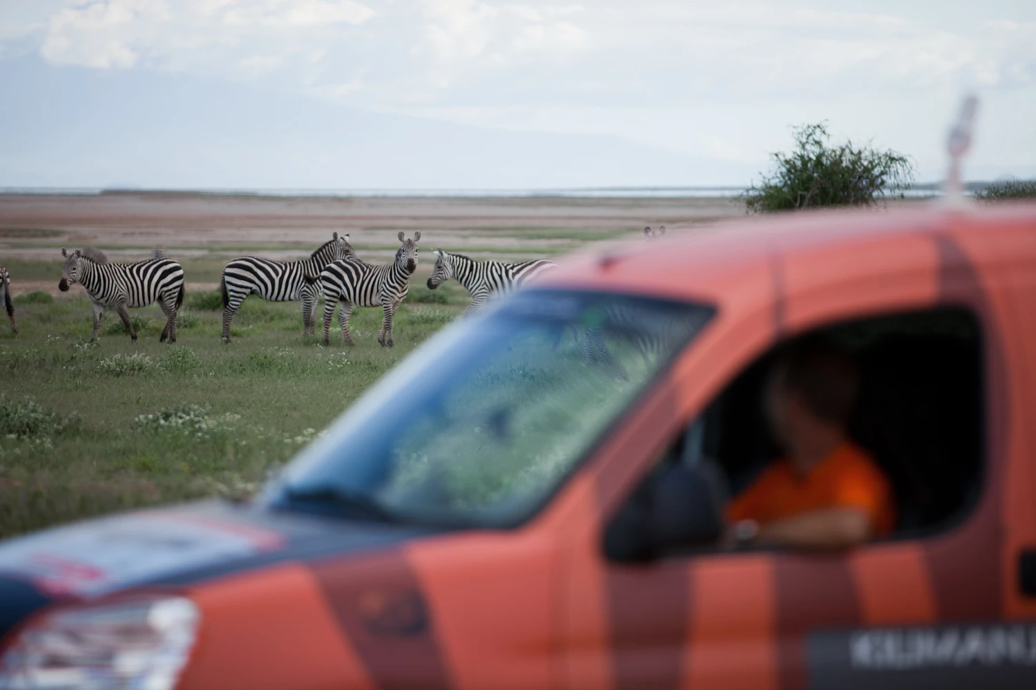 Stunning views and frequent wildlife encounters are almost guaranteed