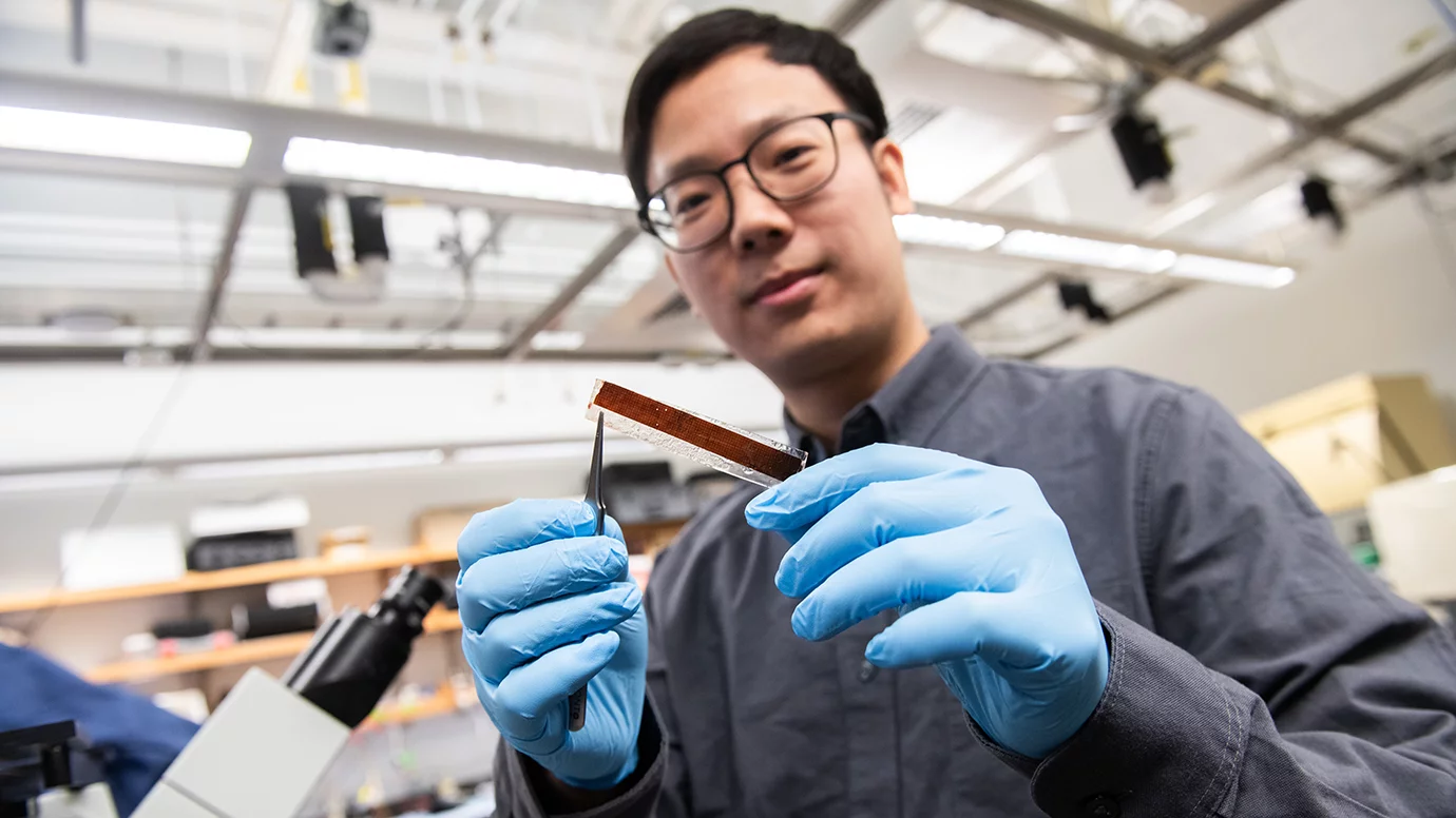 Pengju Li, a researcher on the study, holds a prototype pacemaker that's only 1 micrometer thick, and operated by light pulses