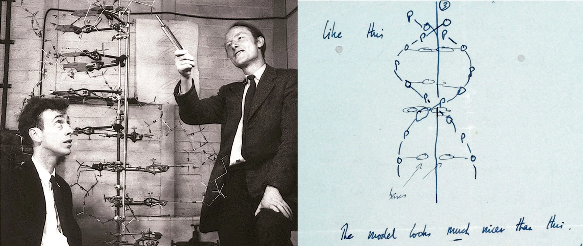 Francis Crick (1916-2004) was a British physicist who at 31 years of age moved his academic field of endeavour to the study of biology. Six years later, he would make one of the landmark scientific breakthroughs. With Crick (pictured right above) working alongside James Watson (pictured left above), and building upon the work of Maurice Wilkins, Rosalind Franklin and others, the pair finally decoded the structure of deoxyribonucleic acid (DNA) on Saturday, 28 February, 1953. Later that afternoon, Crick would announce to the patrons of the Eagle Pub in Cambridge (U.K.), "we have discovered the secret of life." The work would be disclosed to the world in the form of two papers published in the journal Nature, in April and May, 1953.