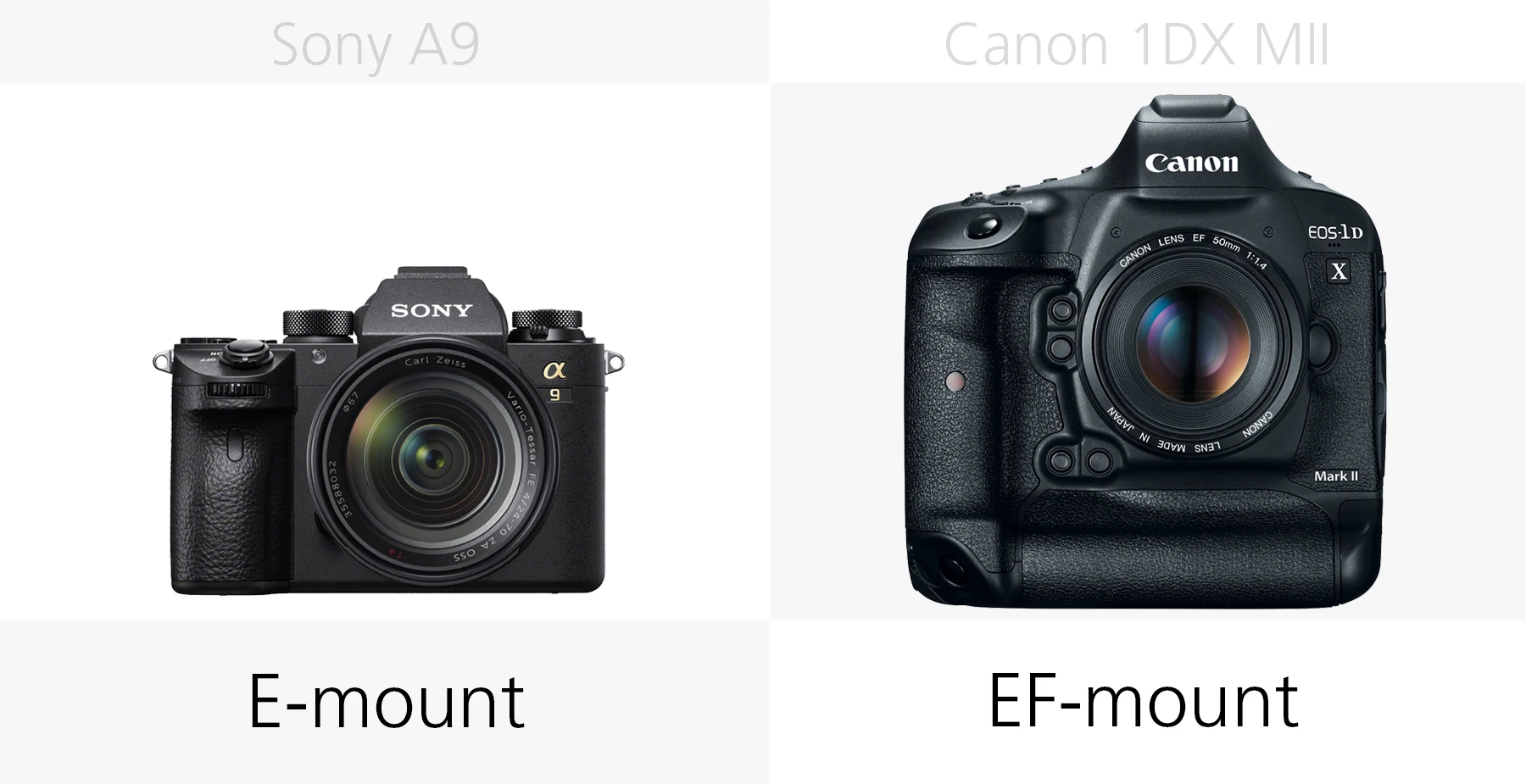Comparing the lens mounts of the Sony A9 and Canon 1DX Mark II