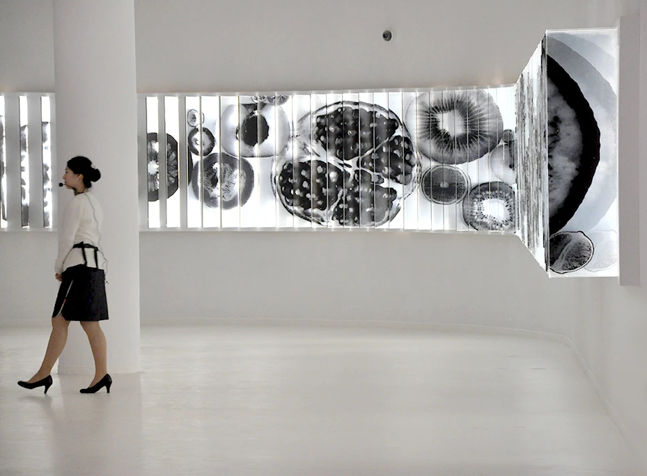 Thought provoking art installations that address problems caused by over-production of foods