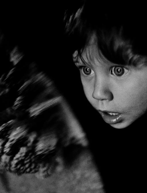 “The Observer” - one of Graham Nash's photos