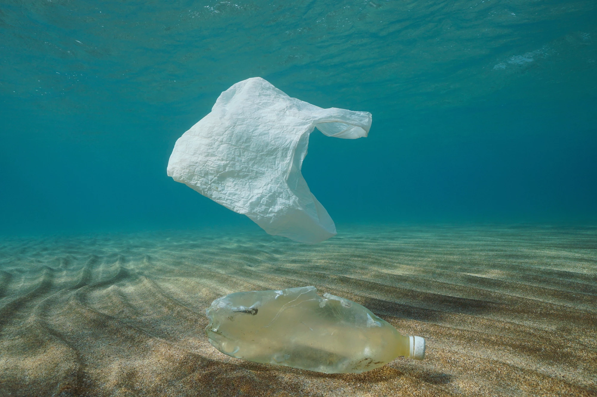A new study has revealed how plastic waste can become trapped by deep-sea trenches