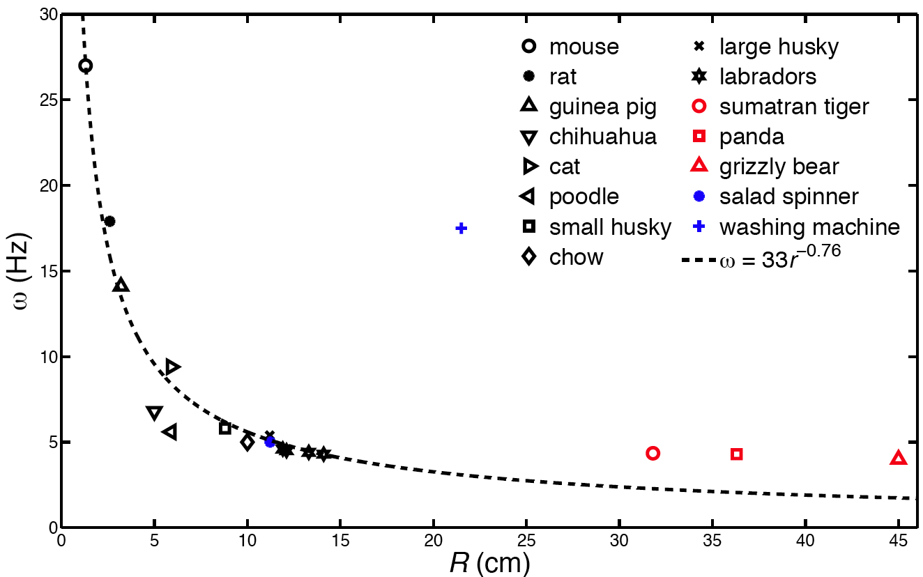 Amimal shake test results (bottom axis is Radius, left hand vertical axis is Oscillations in Hertz)