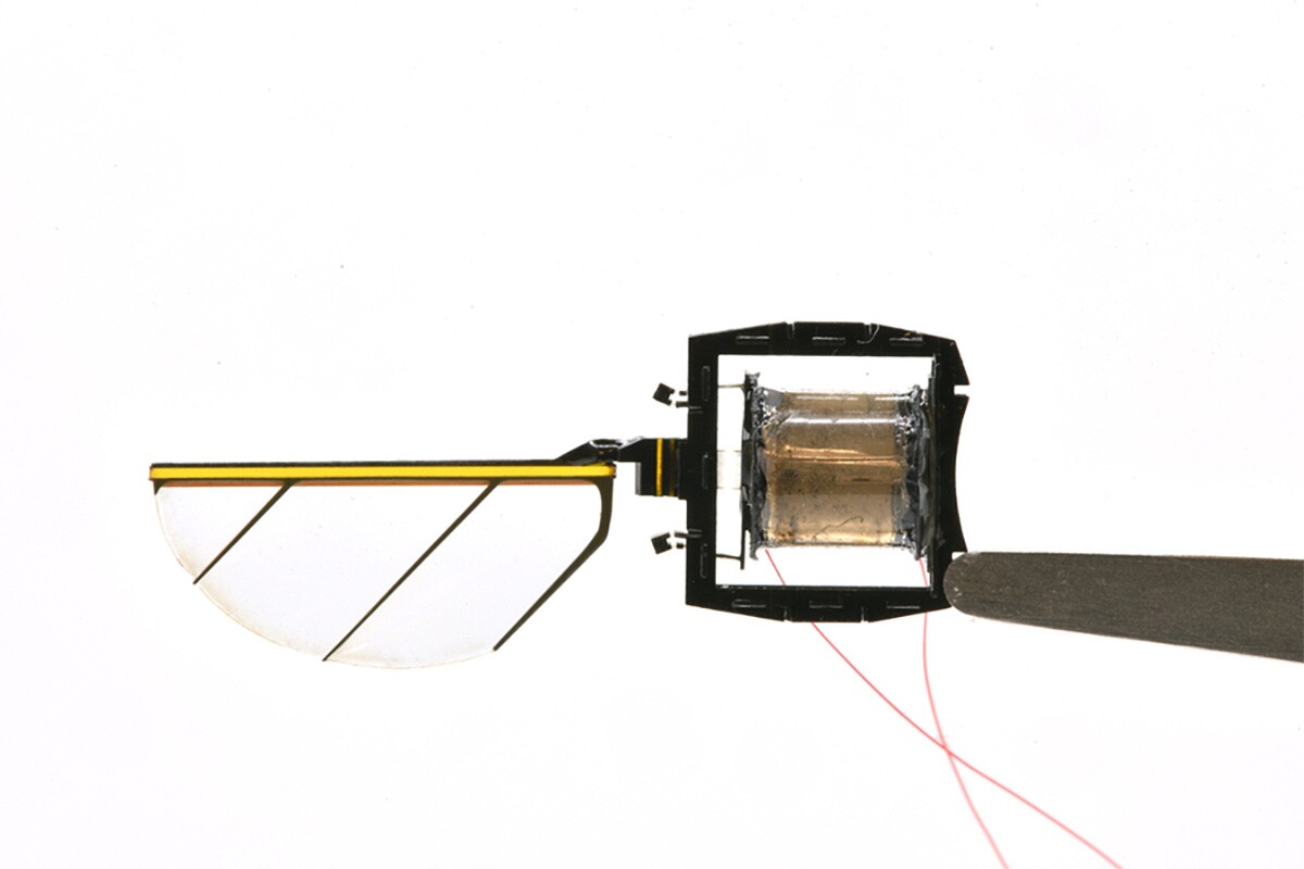The wings are connected to precisely assembled actuators that act as artificial muscles to generate energy that cause them to flap