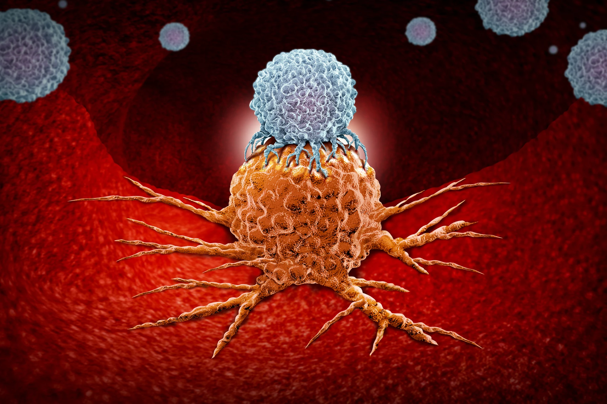 Researchers have discovered a novel way of reviving T cells that become exhausted from fighting cancer