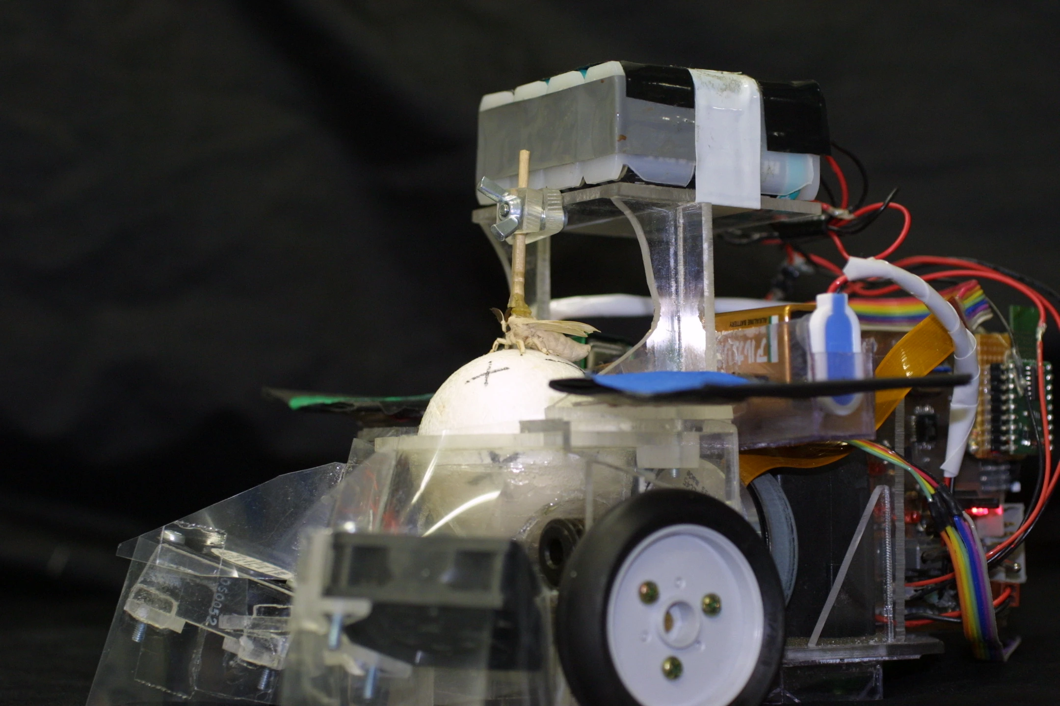 A couple of small fans mounted on the front of the robot (lower left) helped channel the pheromones up toward the moth