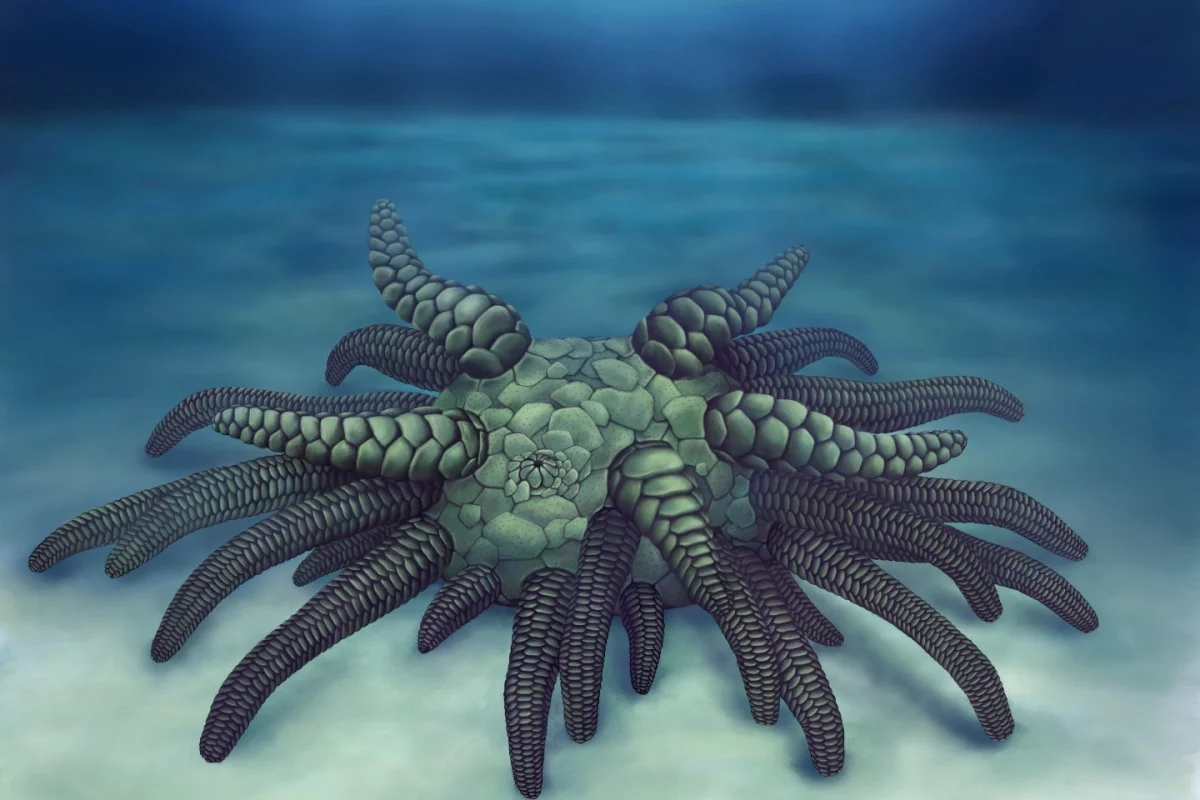 An artist's rendition of the new species, named Sollasina cthulhu after H.P. Lovecraft's mythical beast