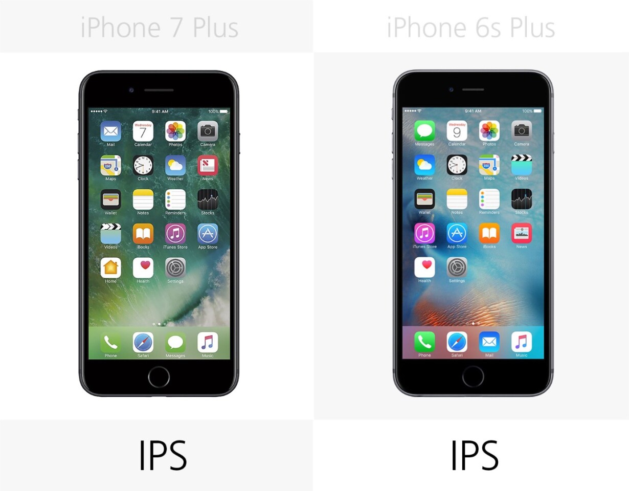 Display type