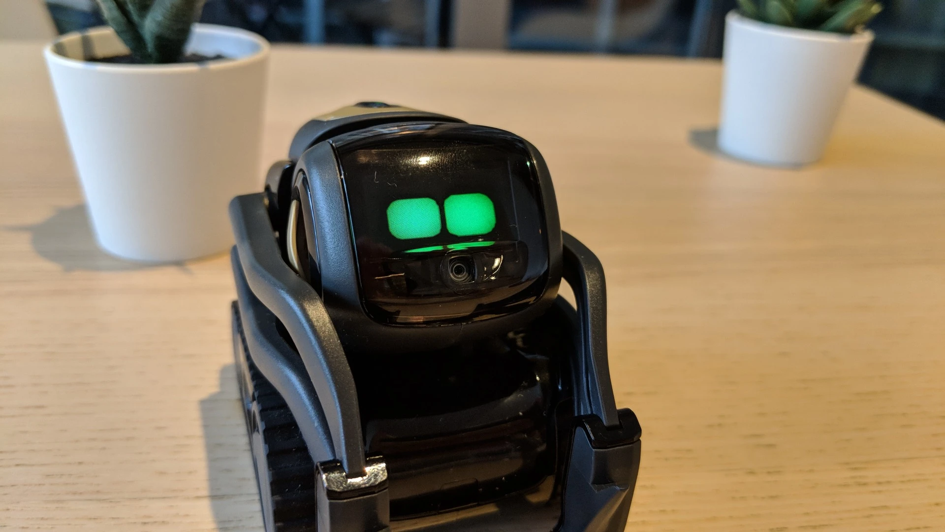 Vector conveys emotion through his big, cartoon-like eyes, thanks to Anki's team of animators