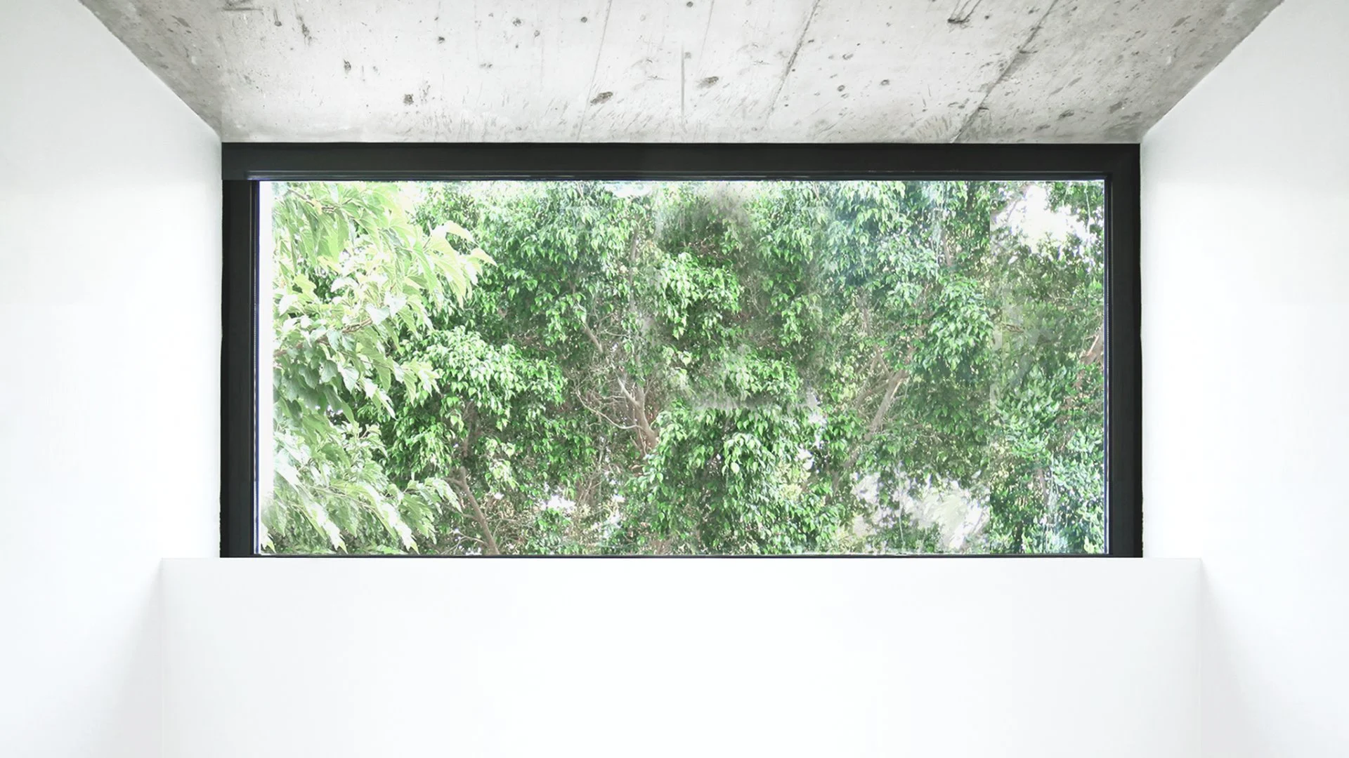 Elevated window featured in the master bedroom lets in lots of natural light