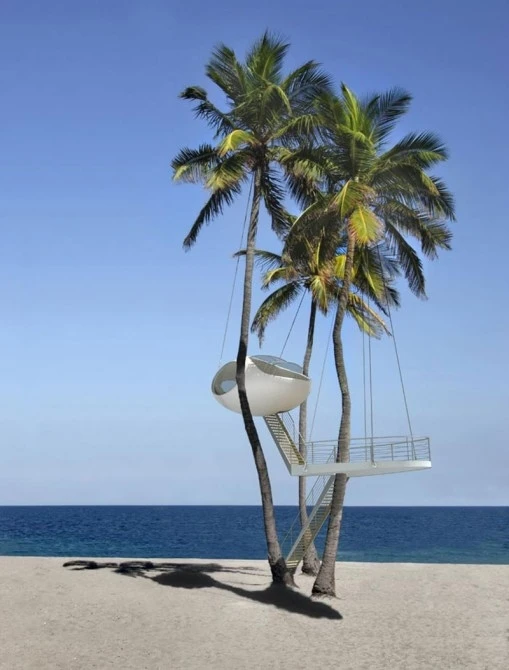 Palm-fictionRendering: Cristina Caldieri and Andrea Cigolini