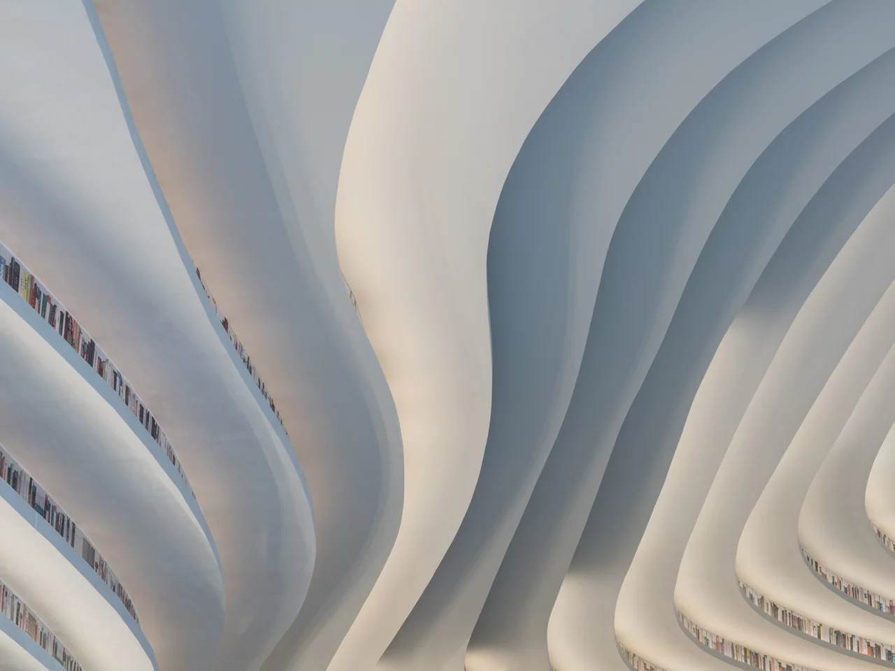 The shelves look like a topographical map