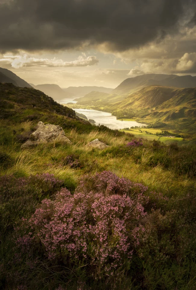 Buttermere Bloom, The Lake District, Cumbria, England by Stuart McGlennon – The Sunday Times Magazine Award Winner, Landscape Photographer of the Year 2018