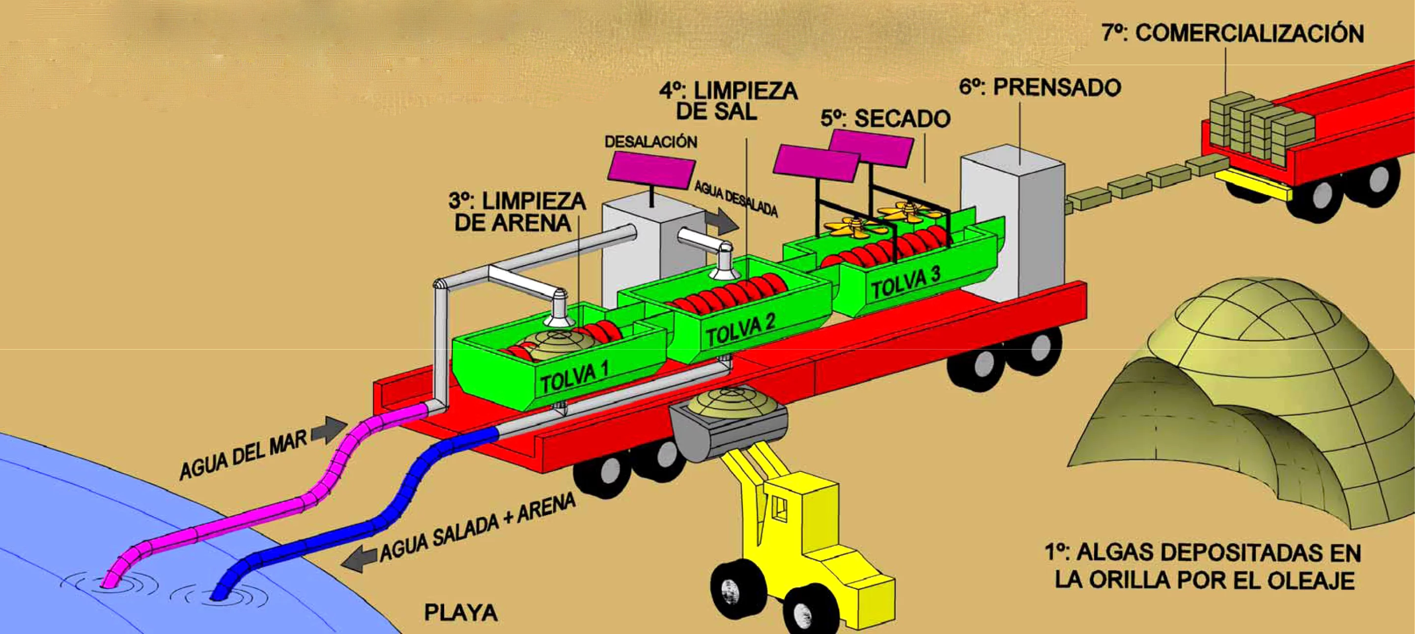 A diagram of the seaweed-treating system