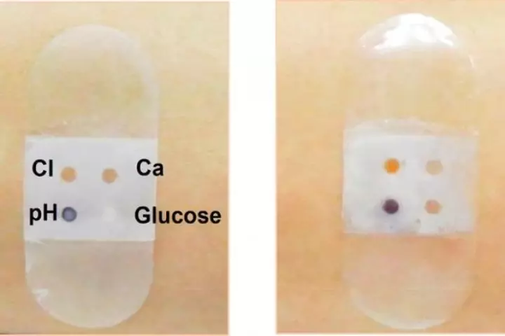 The biosensor before (left) and after collecting and reacting to sweat