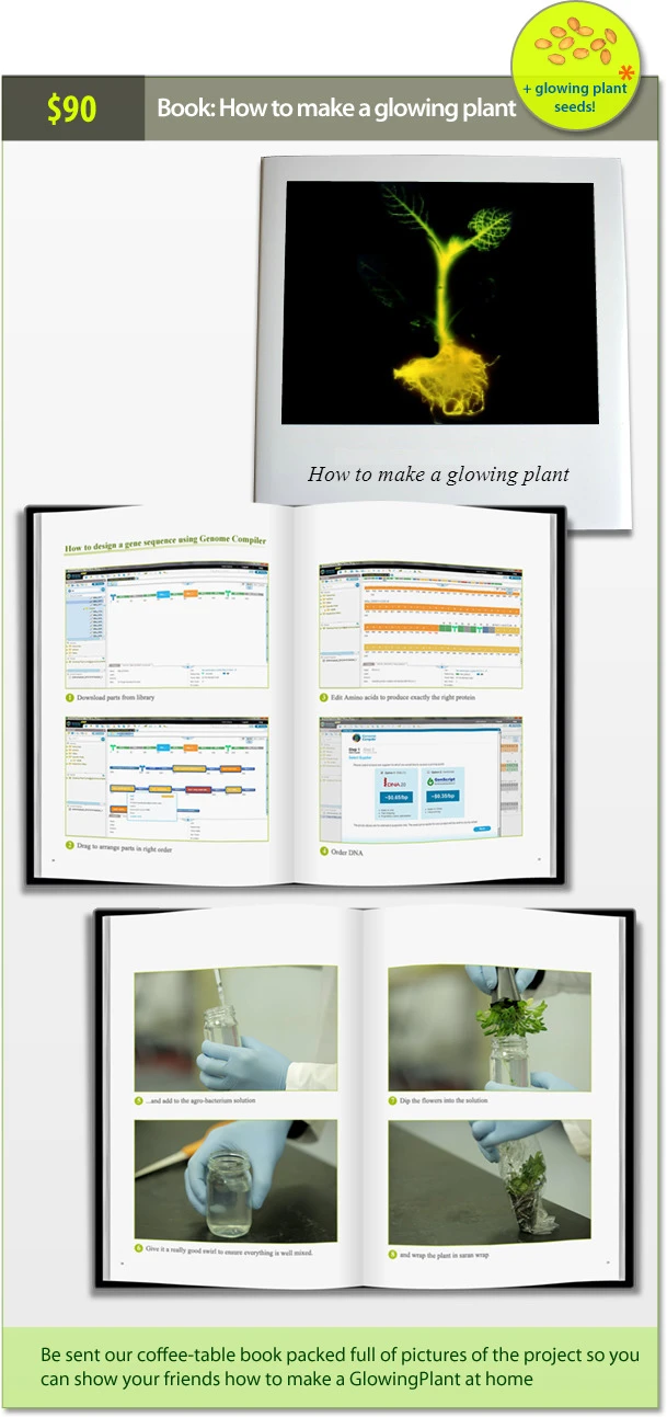 This kickstarter reward is a step-by-step manual for creating your own transgenic plant